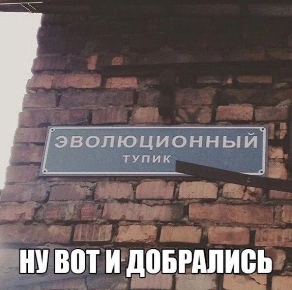 ЭВОЛЮЦИОННЫЙ тупик
НУ ВОТ И ДОБРАЛИСЬ