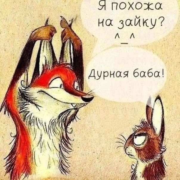 Я похожа на зайку? ^_-
Дурная баба!