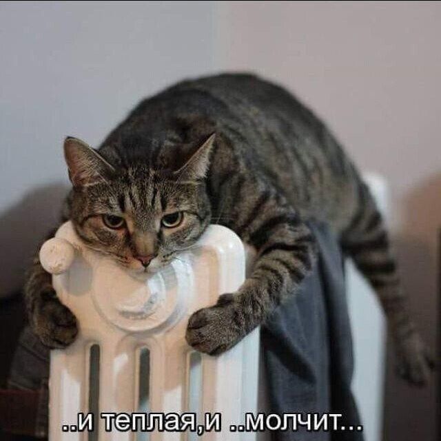 ..и теплая, и ..молчит...