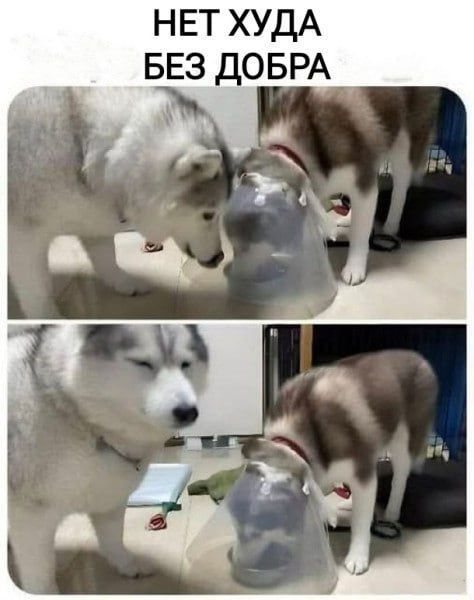 НЕТ ХУДА БЕЗ ДОБРА