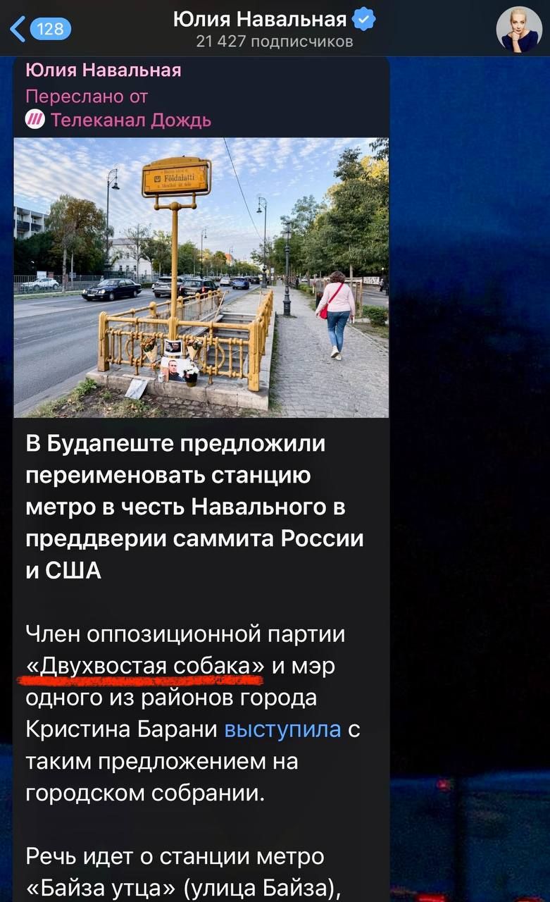 Юлия Навальная
Переслано от Телеканал Джодж

В Будапеште предложили переименовать станцию метро в честь Навального в преддверии саммита России и США

Член оппозиционной партии 