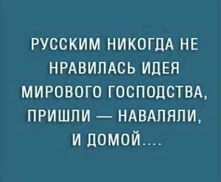 РУССКИМ НИКОГДА НЕ НРАВИЛАСЬ ИДЕЯ МИРОВОГО ГОСПОДСТВА, ПРИШЛИ — НАВАЛЯЛИ, И ДОМОЙ....