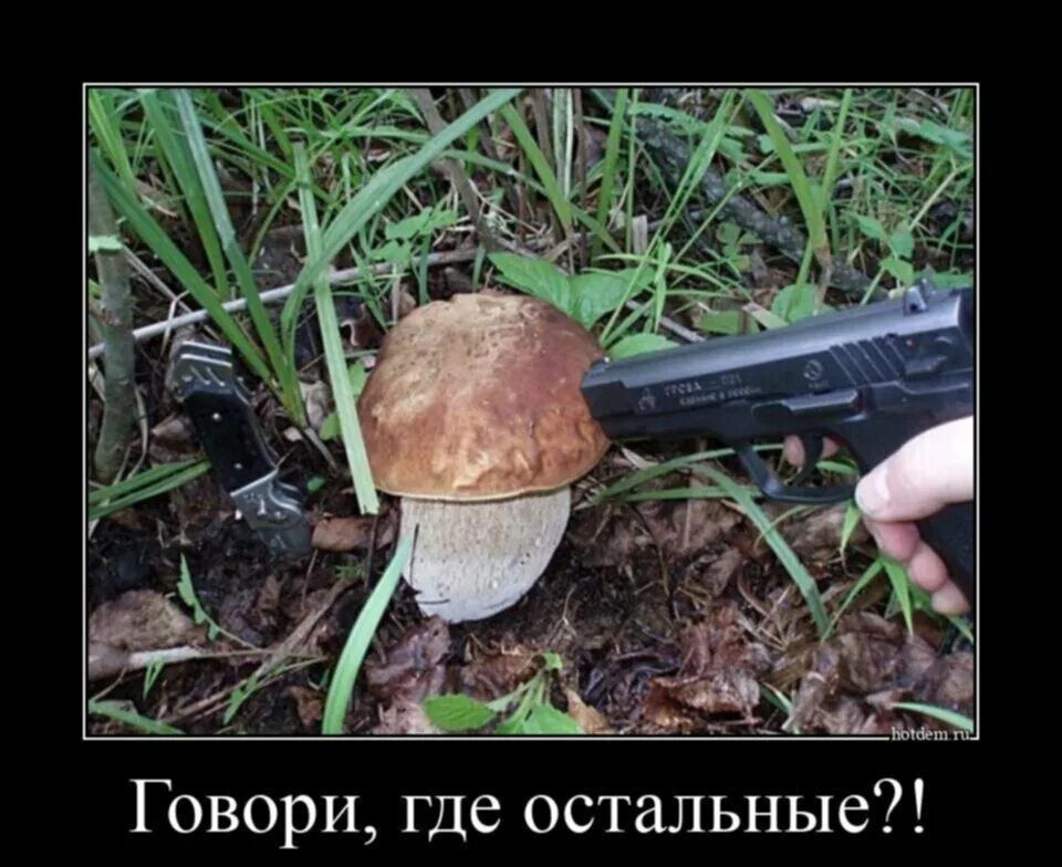 Говори, где остальные?!