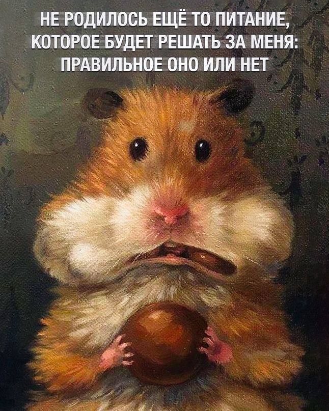 НЕ РОДИЛОСЬ ЕЩЁ ТО ПИТАНИЕ, КОТОРОЕ БУДЕТ РЕШАТЬ ЗА МЕНЯ: ПРАВИЛЬНОЕ ОНО ИЛИ НЕТ
