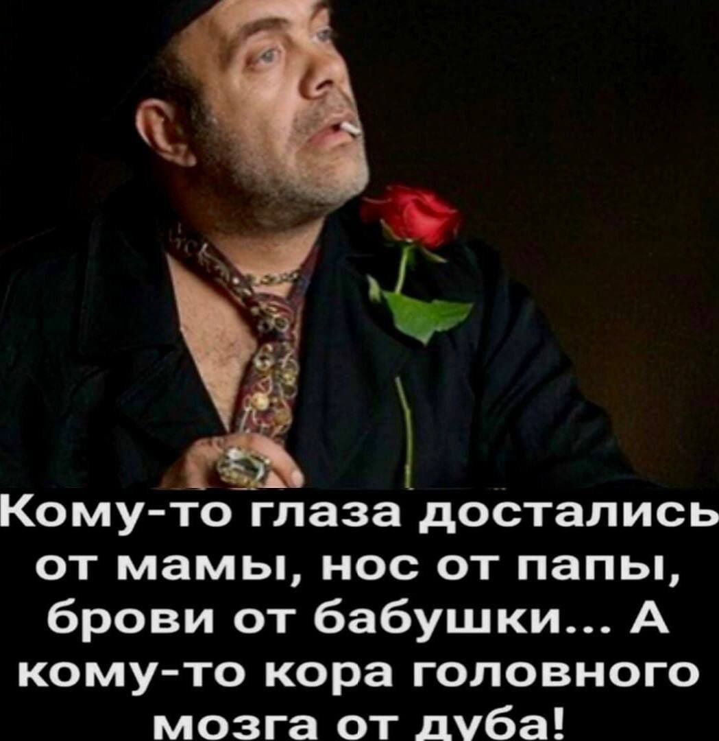 Кому-то глаза достались от мамы, нос от папы, брови от бабушки... А кому-то кора головного мозга от дуба!