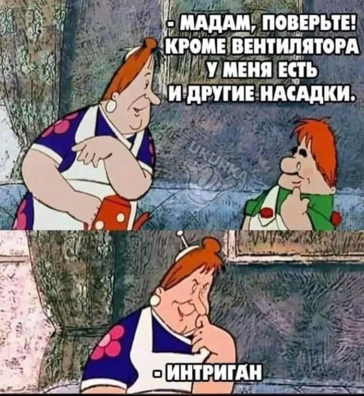 — МАДАМ, ПОВЕРЬТЕ! КРОМЕ ВЕНТИЛЯТОРА У МЕНЯ ЕСТЬ И ДРУГИЕ НАСАДКИ. — ИНТРИГАН
