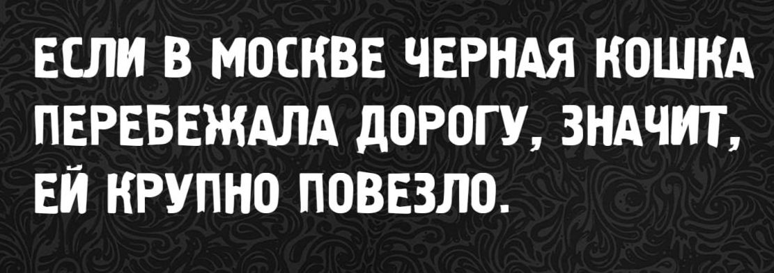 ЕСЛИ В МОСКВЕ ЧЕРНАЯ КОШКА ПЕРЕБЕЖАЛА ДОРОГУ, ЗНАЧИТ, ЕЙ КРУПНО ПОВЕЗЛО.