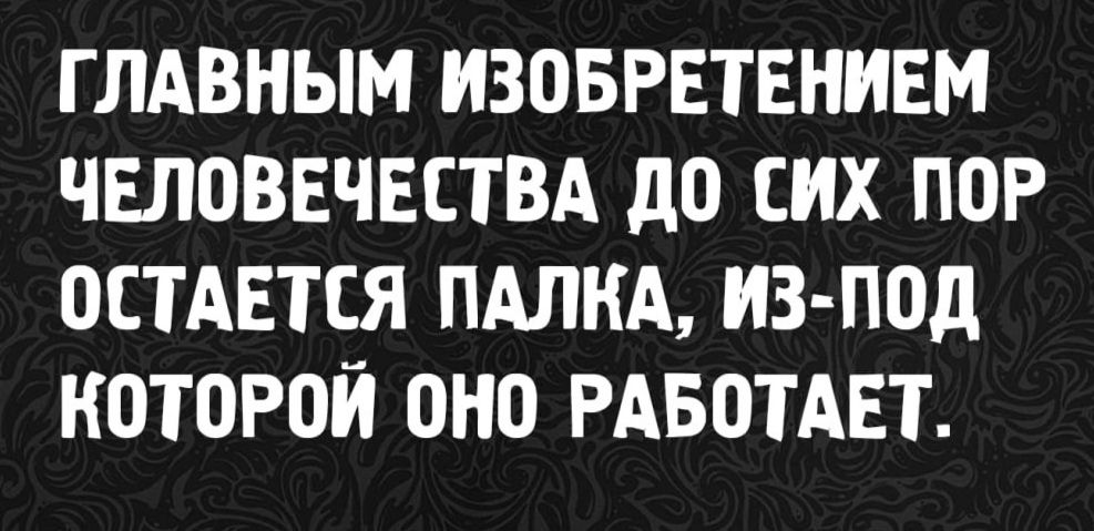 Главным изобретением человечества до сих пор остается палка, из-под которой оно работает.