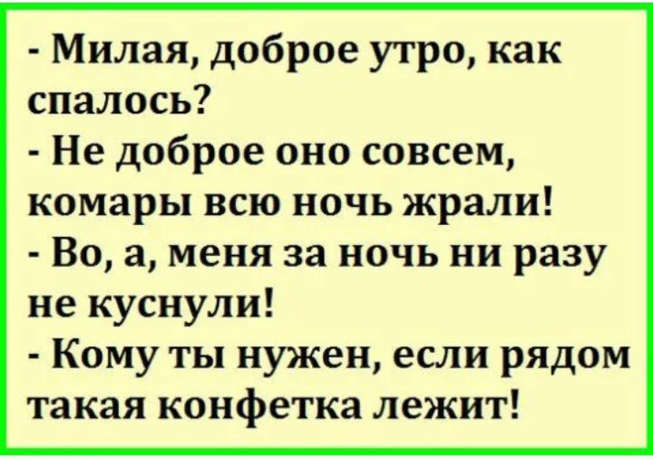 - Милая, доброе утро, как спалось?
- Не доброе оно совсем, комары всю ночь жрали!
- Во, а, меня за ночь ни разу не куснули!
- Кому ты нужен, если рядом такая конфетка лежит!