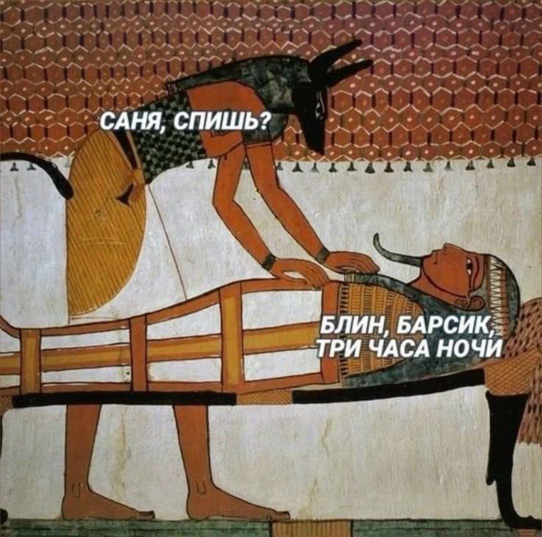 Саня, спишь? Блин, Барсик, три часа ночи
