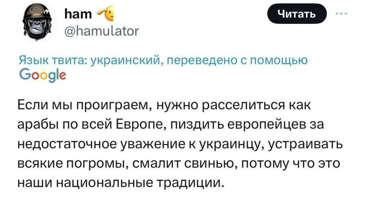 Язык твита: украинский, переведено с помощью Google
Если мы проиграем, нужно расселиться как арабы по всей Европе, пиздить европейцев за недостойное уважение к украинцу, устраивать всякие погромы, смалить свинью, потому что это наши национальные традиции.