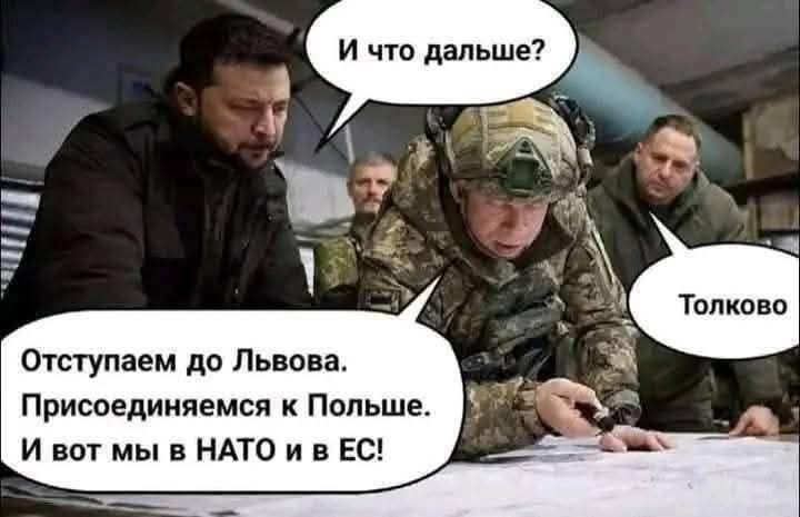 И что дальше? Толково. Отступаем до Львова. Присоединяемся к Польше. И вот мы в НАТО и в ЕС!