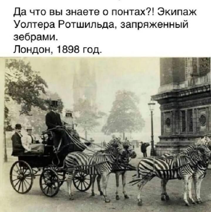Да что вы знаете о понтах?! Экипаж Уолтера Ротшильда, запряженный зебрами. Лондон, 1898 год.
