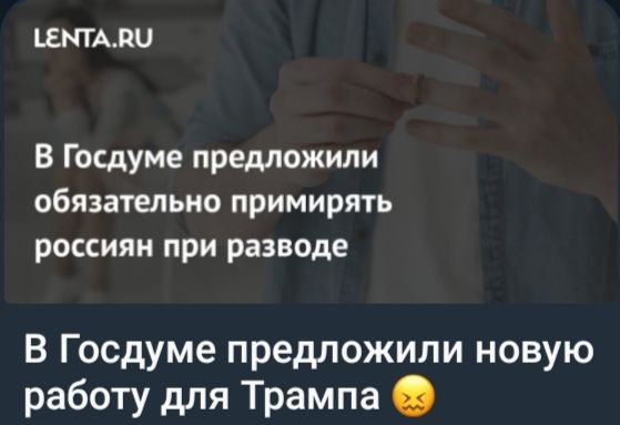 В Госдуме предложили обязательно примирять россиян при разводе. В Госдуме предложили новую работу для Трампа.