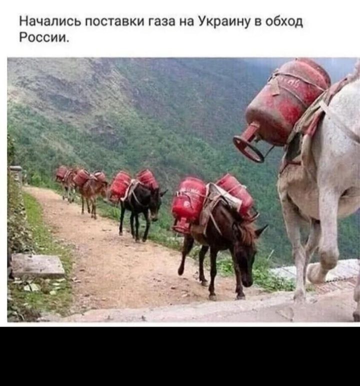 Начались поставки газа на Украину в обход России.