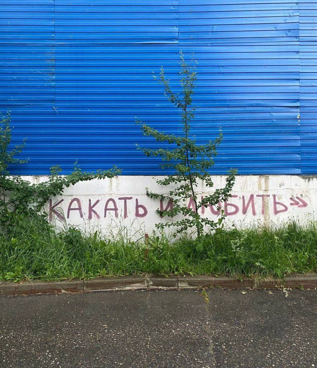 КАКАТЬ И ЛЮБИТЬ