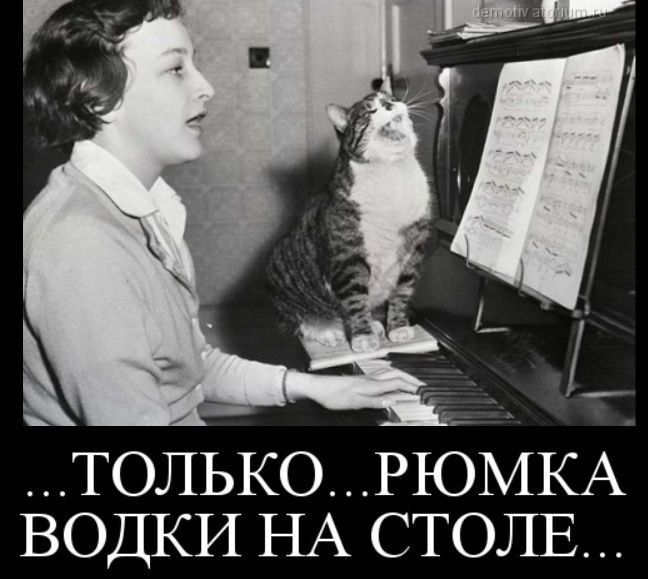 ...ТОЛЬКО...РюмКА ВОДКИ НА СТОЛЕ...