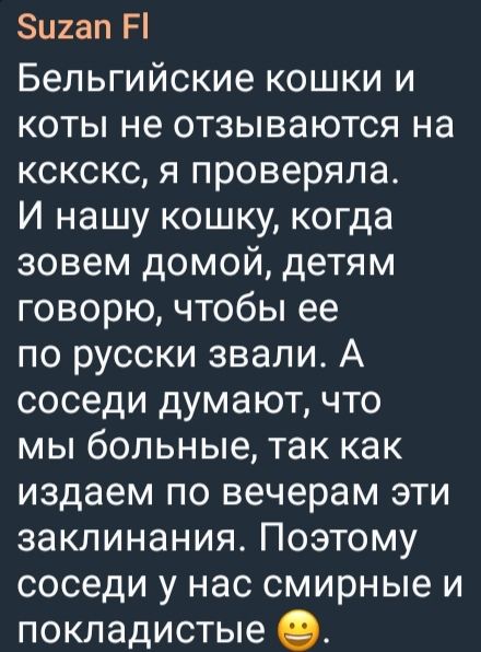 Белгийские кошки и коты не откликаются на ксск, я проверяла. И нашу кошку, когда зовем домой, детям говорю, чтобы ее по русски звали. А соседи думают, что мы больные, так как издаем по вечерам эти заклинания. Поэтому соседи у нас смирные и покладистые 😁.