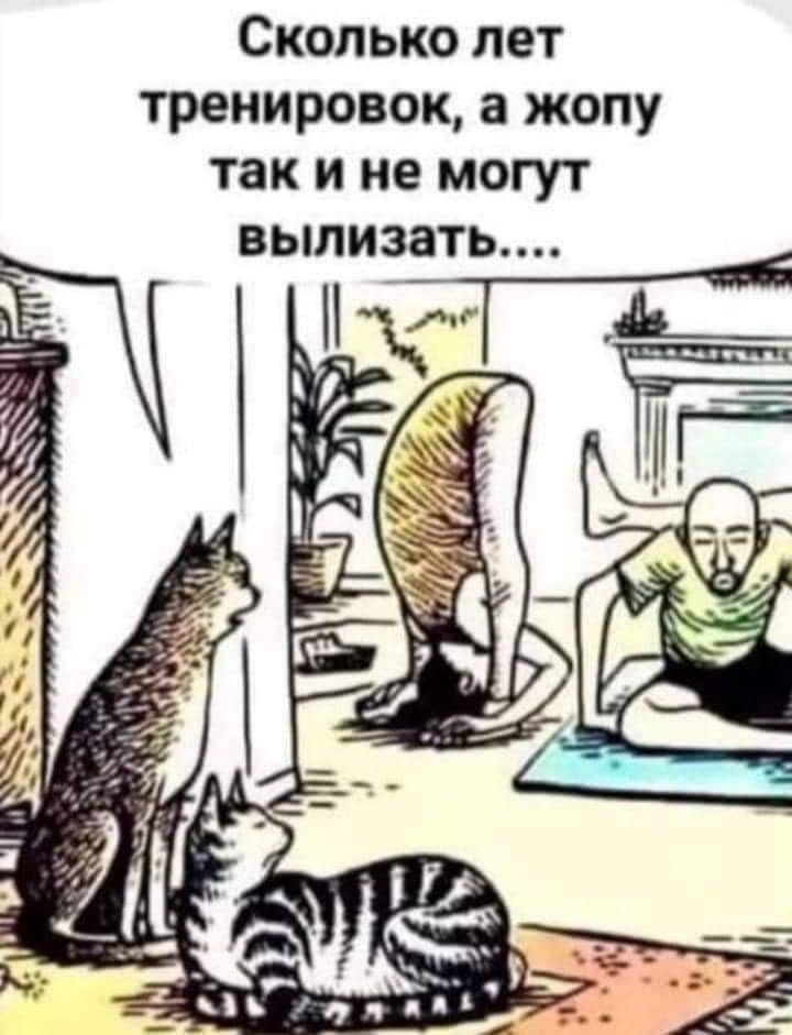 Сколько лет тренировок, а жопу так и не могут вылизать....