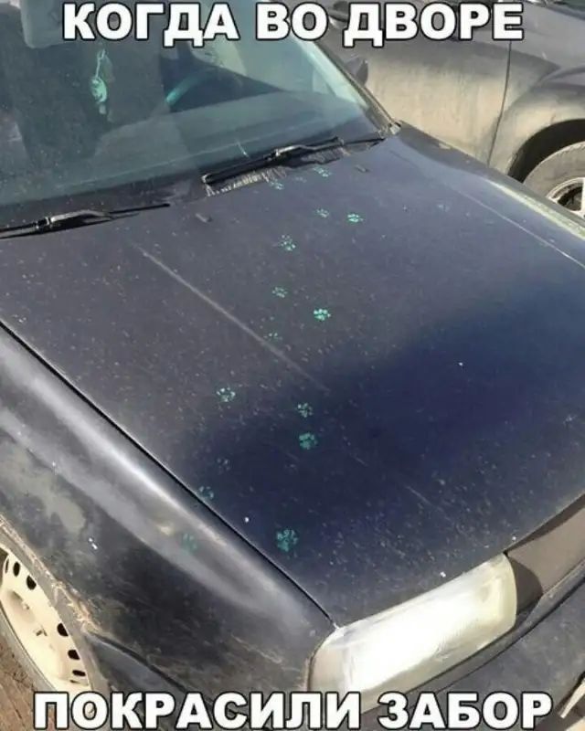 КОГДА ВО ДВОРЕ ПОКРАСИЛИ ЗАБОР