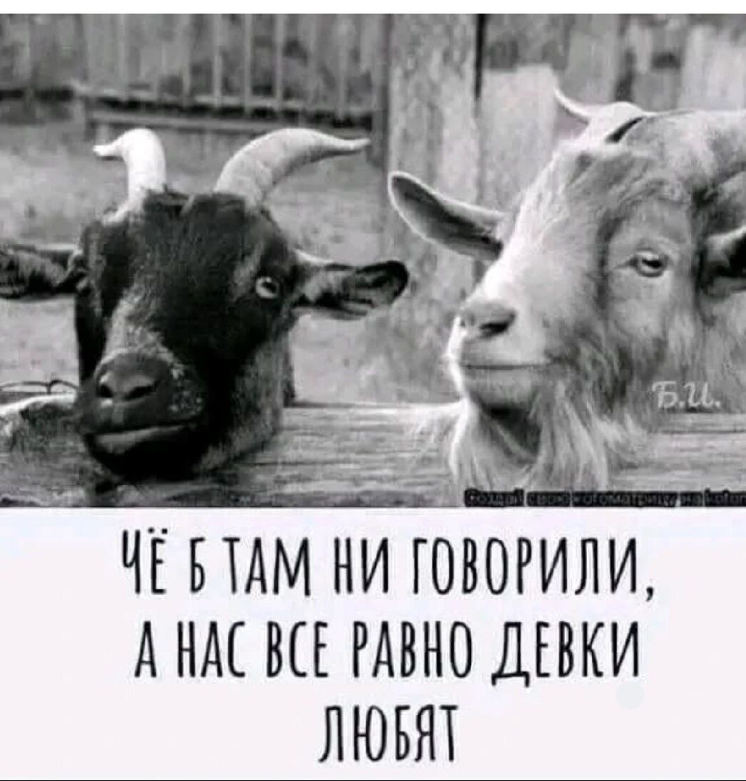 Чё бы там ни говорили, а нас все равно девки любят