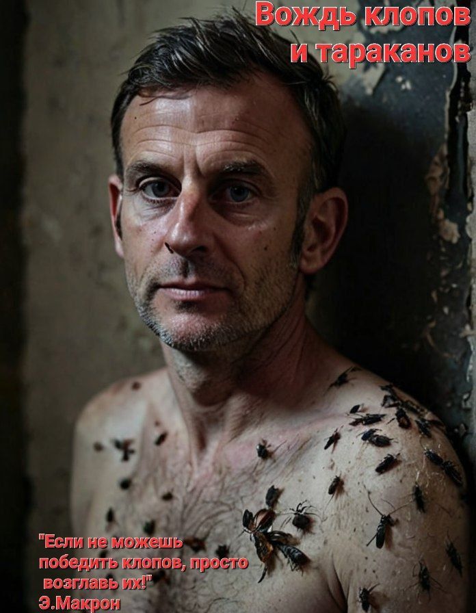 Вождь клопов и тараканов. Если не можешь победить клопов, просто возглавь их! Э. Макрон