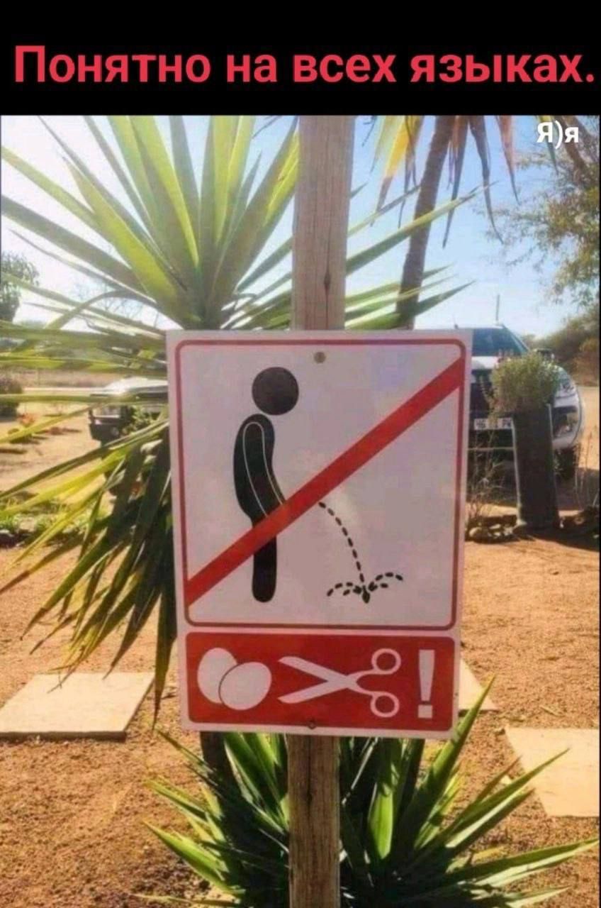 Понятно на всех языках.