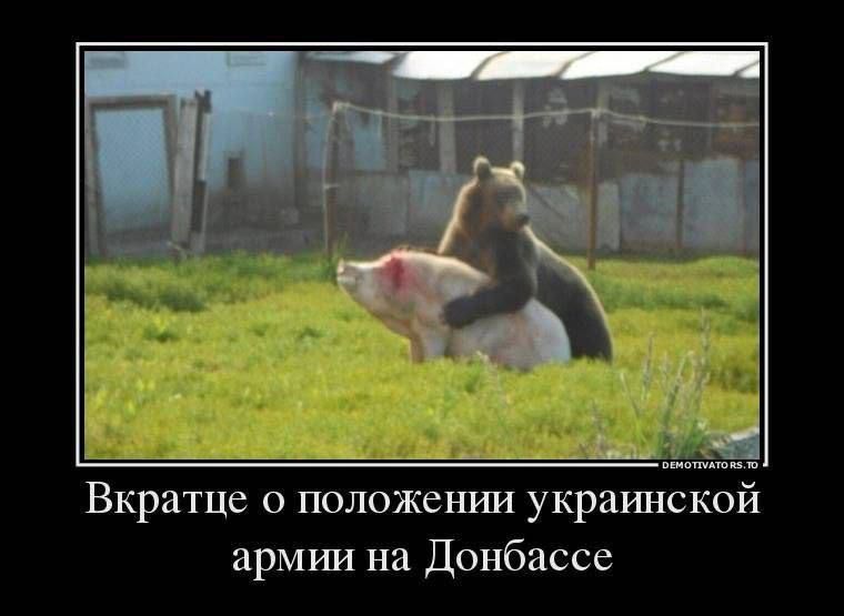 Вкратце о положении украинской армии на Донбассе