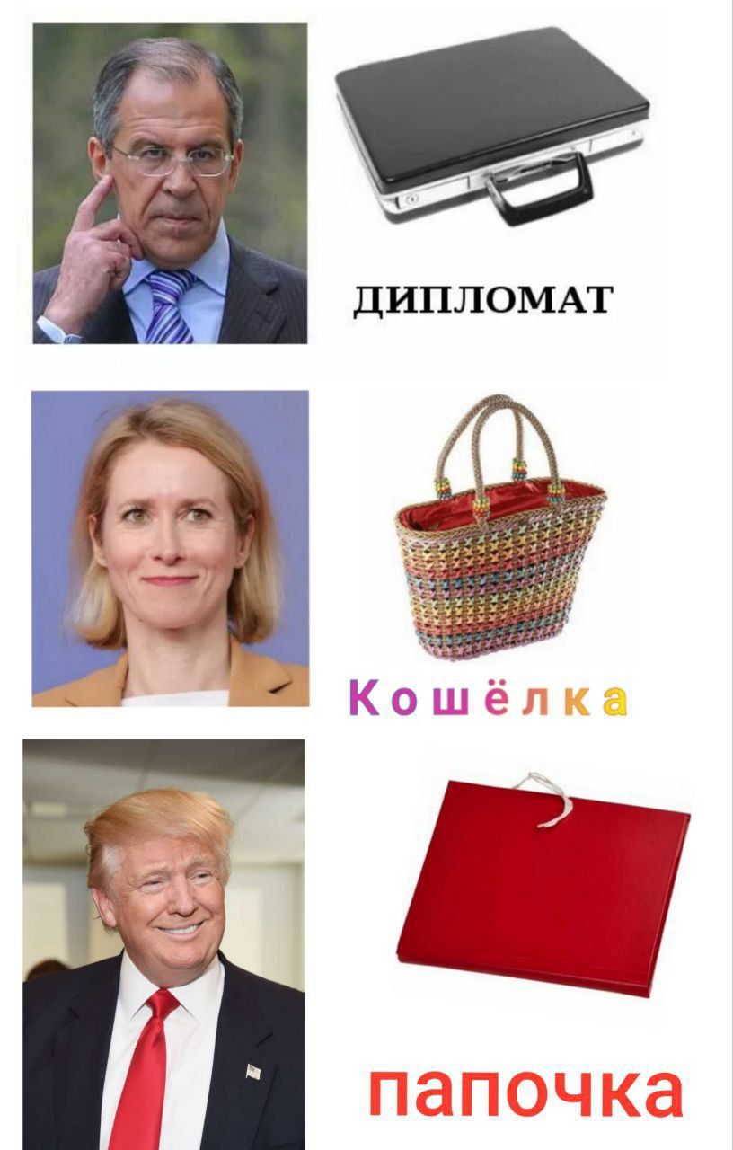 ДИПЛОМАТ\nКошёлка\nпапочка