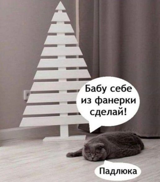 Бабу себе из фанерки сделай!\nПадлюка