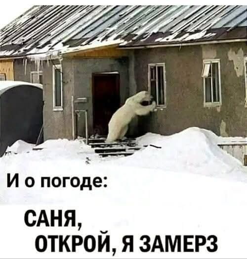 И о погоде: Саня, открой, я замерз