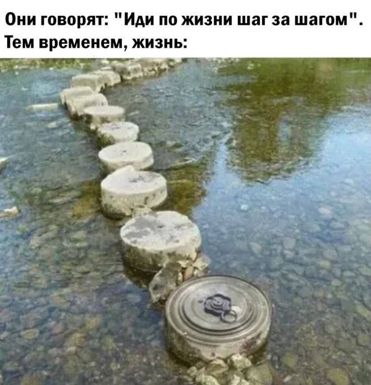 Они говорят: 
