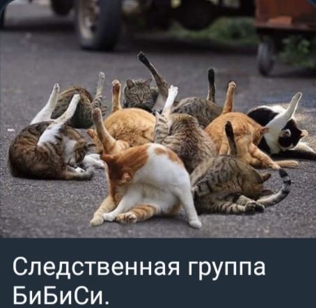 Следственная группа БибиСи.