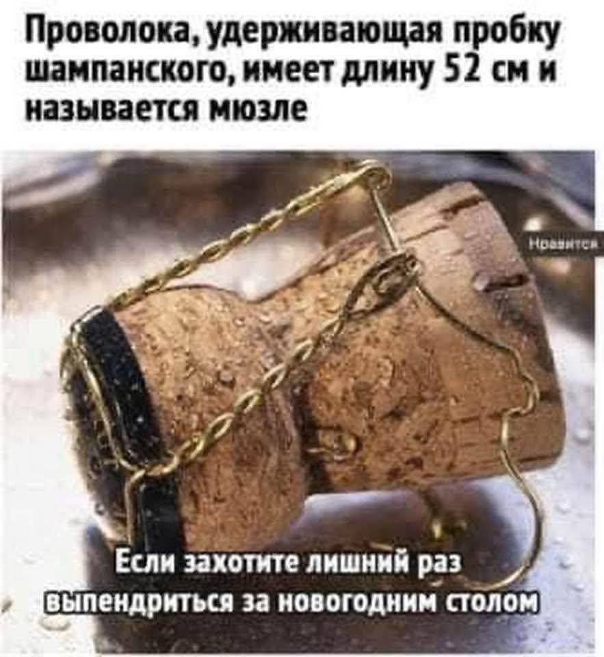Проволока, удерживающая пробку шампанского, имеет длину 52 см и называется мозге. Если захотите лишний раз выпендриться за новогодним столом
