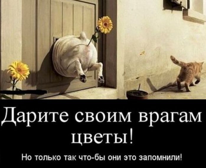 Дарите своим врагам цветы! Но только так что-бы они это запомнили!