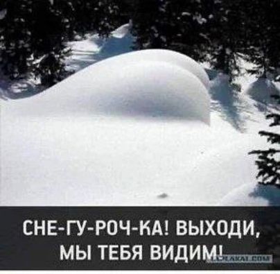 СНЕ-ГУ-РОЧ-КА! ВЫХОДИ, МЫ ТЕБЯ ВИДИМ!
