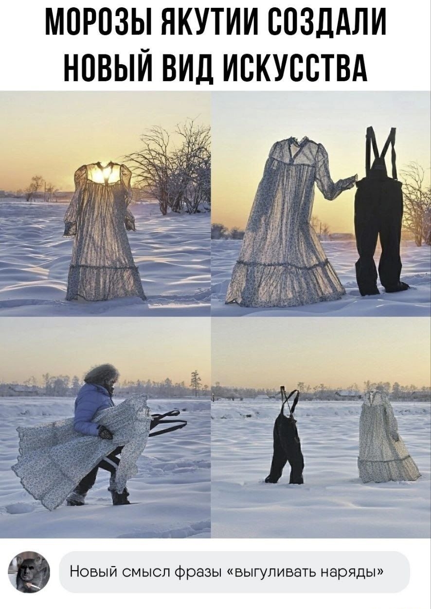 Морозы Якутии создали новый вид искусства
Новый смысл фразы «выгуливать наряды»