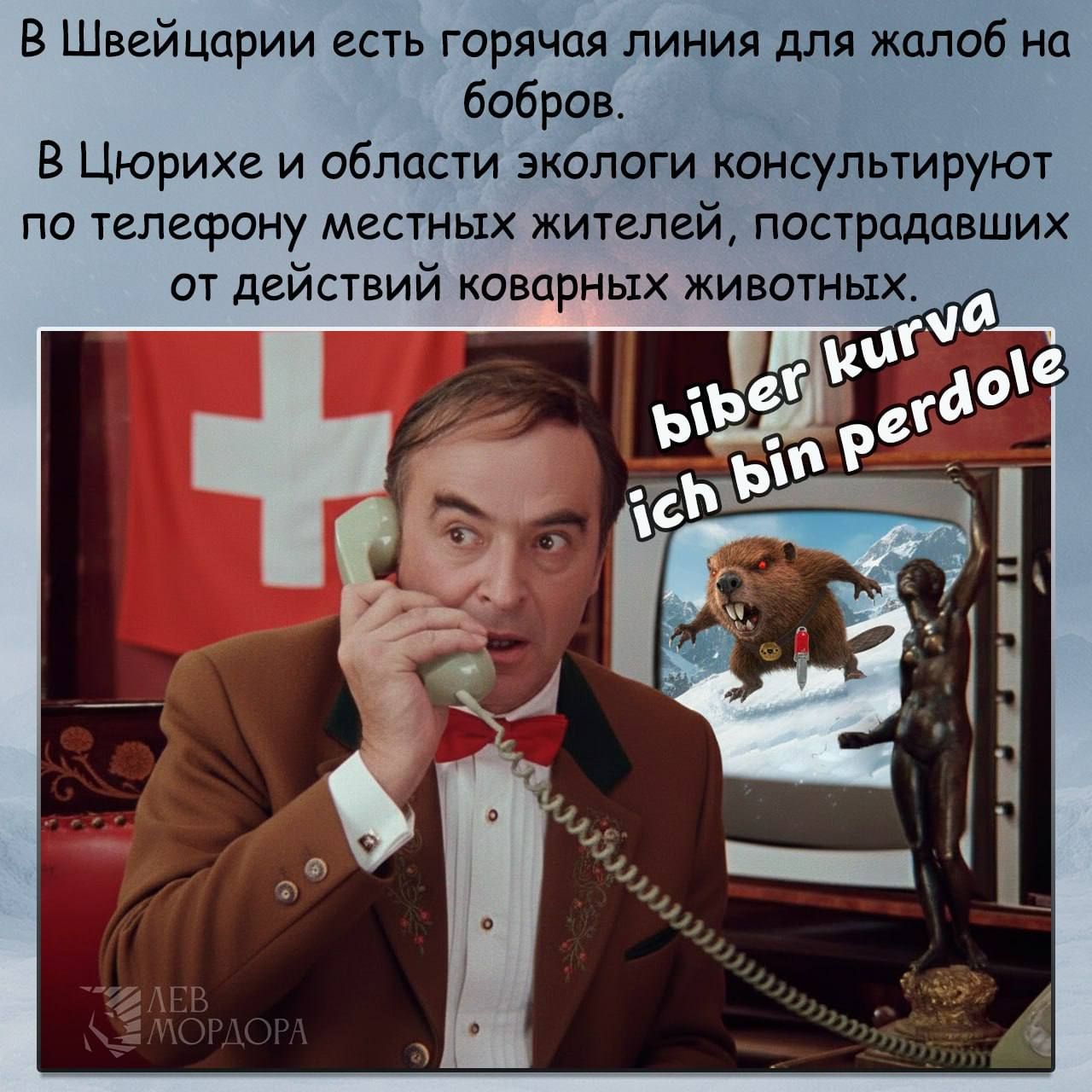 В Швейцарии есть горячая линия для жалоб на бобров. В Цюрихе и области экологи консультируют по телефону местных жителей, пострадавших от действий коварных животных. 