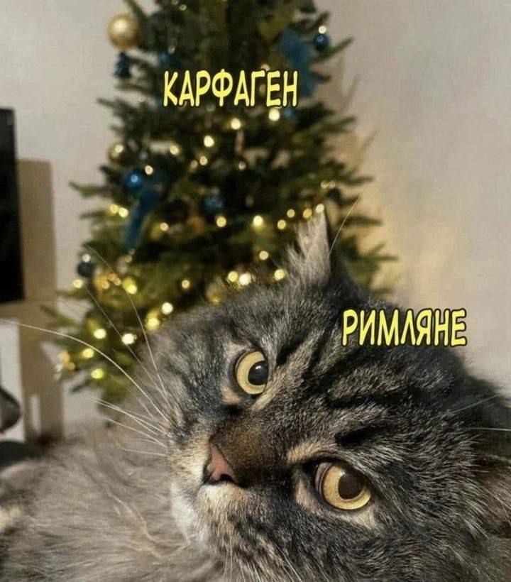 КАРФАГЕН РИМЛЯНЕ
