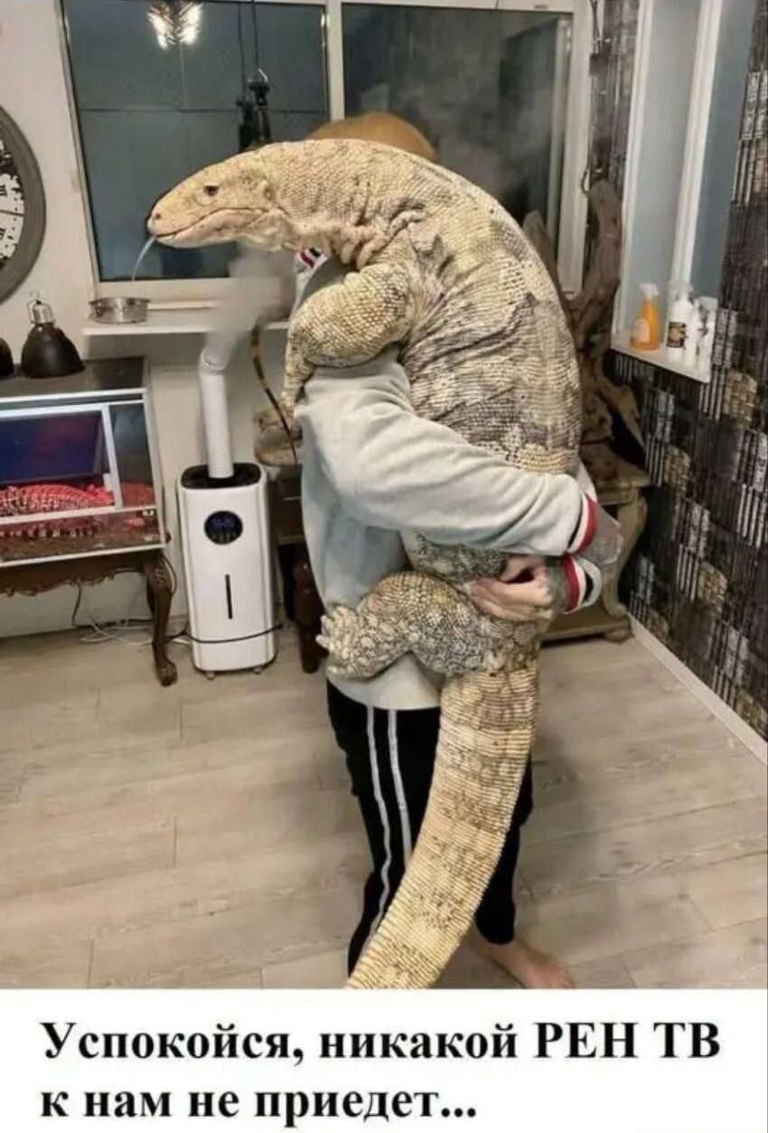 Успокойся, никакой РЕН ТВ к нам не придет...