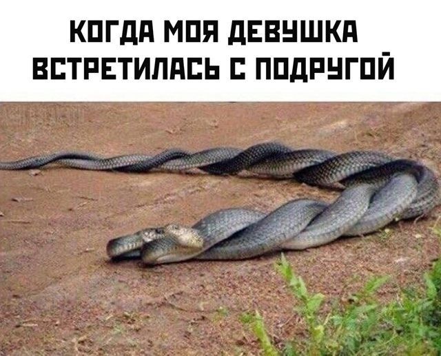 КОГДА МОЯ ДЕВУШКА ВСТРЕТИЛАСЬ С ПОДРУГОЙ