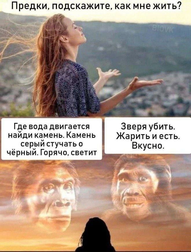 Предки, подскажите, как мне жить? Где вода движется Найди камень. Камень серый стучать о чёрный. Горячо, светит. Зверя убить. Карить и есть. Вкусно.