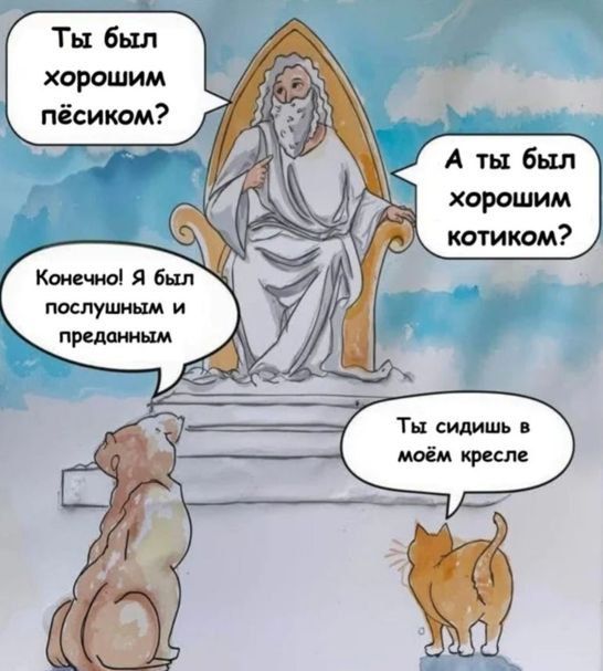 Ты был хорошим пёсиком? Конечно! Я был послушным и преданным. А ты был хорошим котиком? Ты сидишь в моём кресле