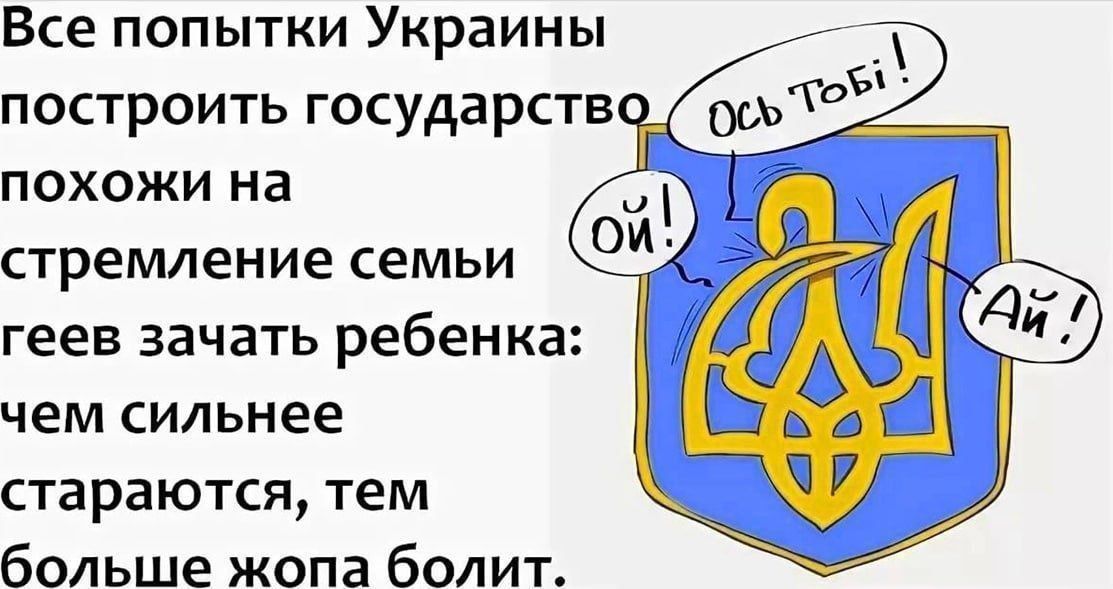 Все попытки Украины построить государство похожи на стремление семьи геев зачать ребенка: чем сильнее стараются, тем больше жопа болит.