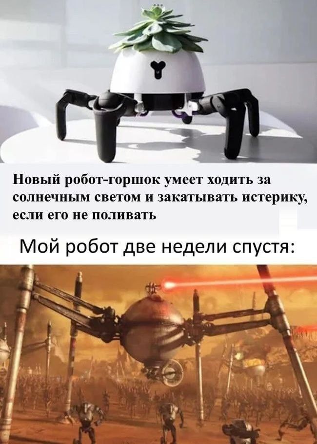 Новый робот-горшок умеет ходить за солнечным светом и закатывать истерику, если его не поливать
Мой робот две недели спустится: