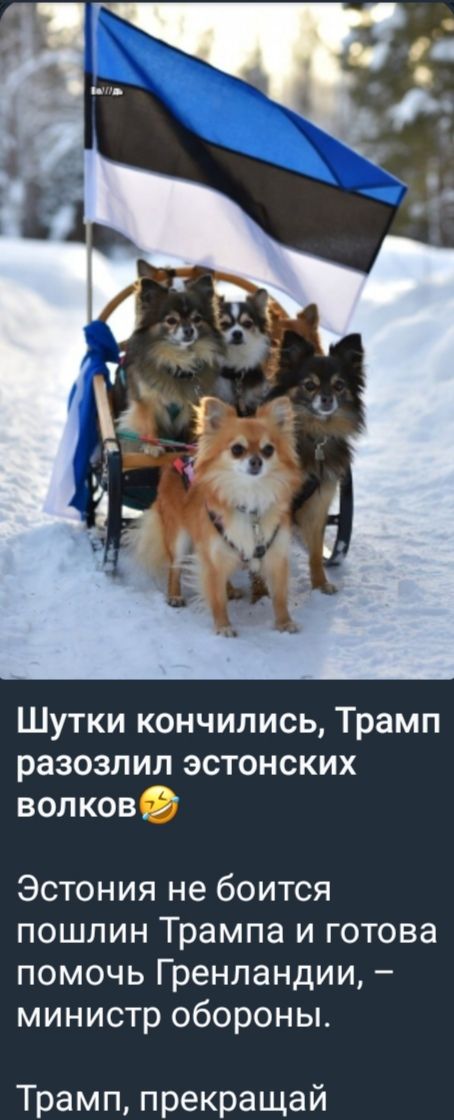 Шутки кончились, Трамп разозлил эстонских волков🤣 Эстония не боится пошлин Трампа и готова помочь Гренландии, – министр обороны. Трамп, прекращай