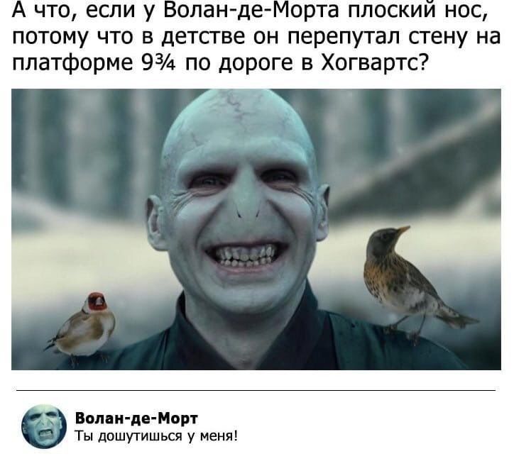 А что, если у Волан-де-Морта плоский нос, потому что в детстве он перепутал стену на платформе 9¾ по дороге в Хогвартс?\n\nВолан-де-Морт Ты дошутишь у меня!