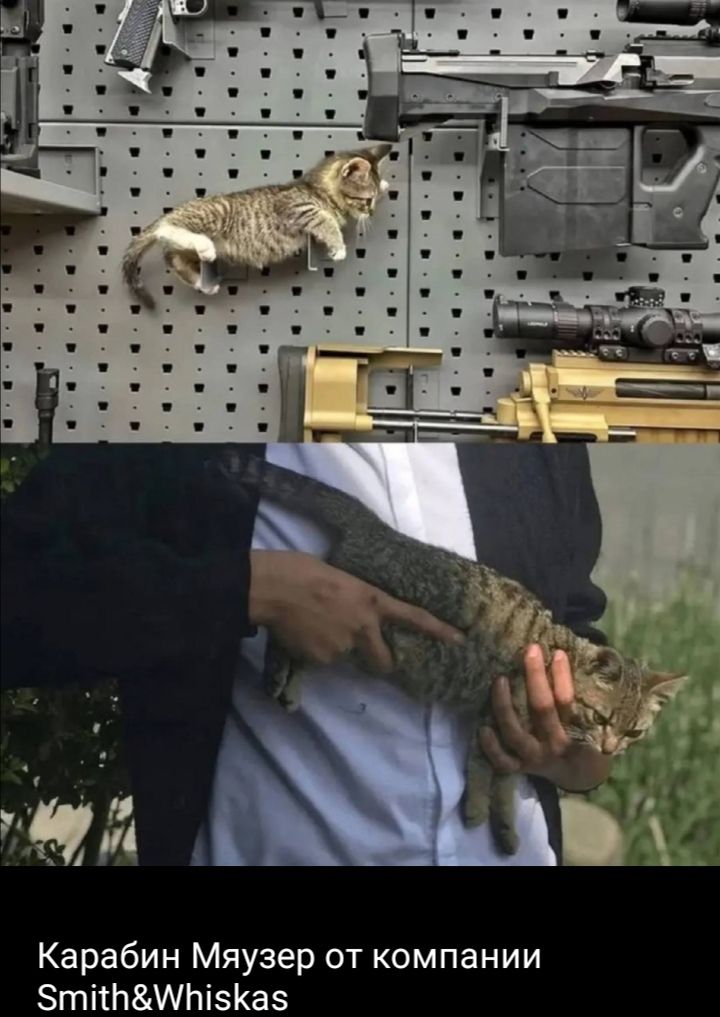 Карабин Мяуэзер от компании Smith&Whiskas