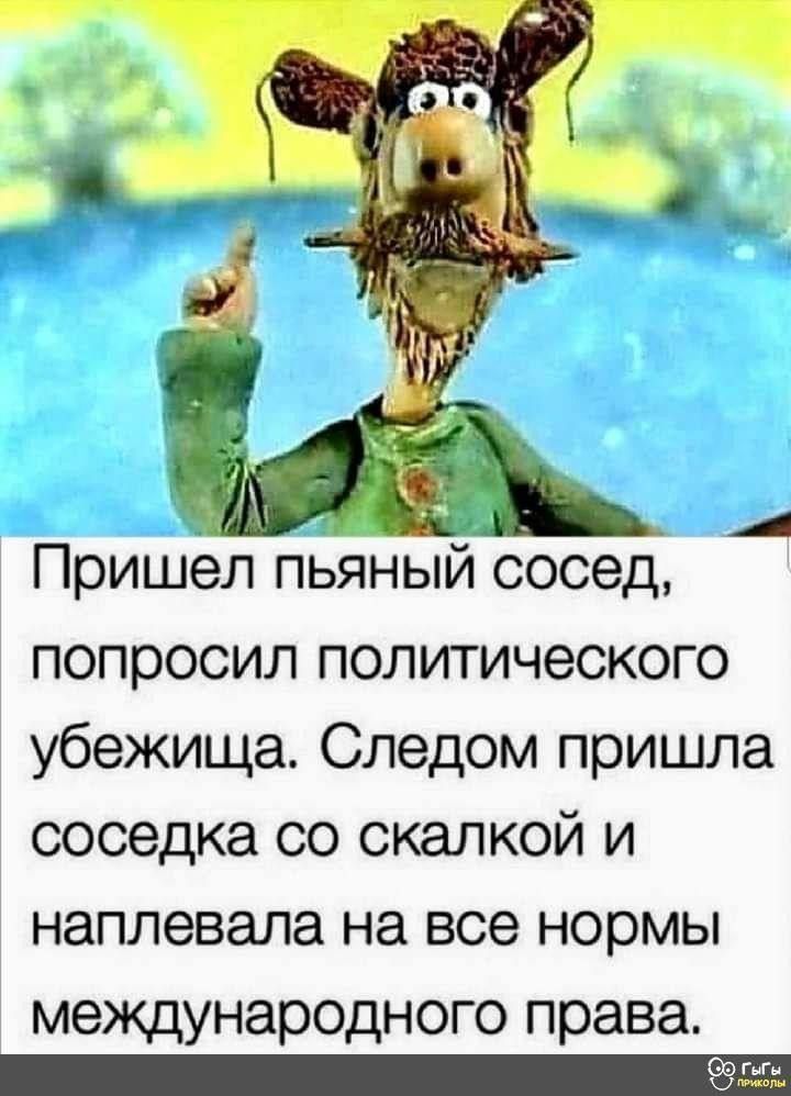 Пришел пьяный сосед, попросил политического убежища. Следом пришла соседка со скалкой и наплевала на все нормы международного права.