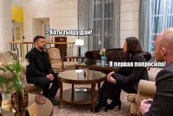 Хоть тушу дай! — Я первая попросила!